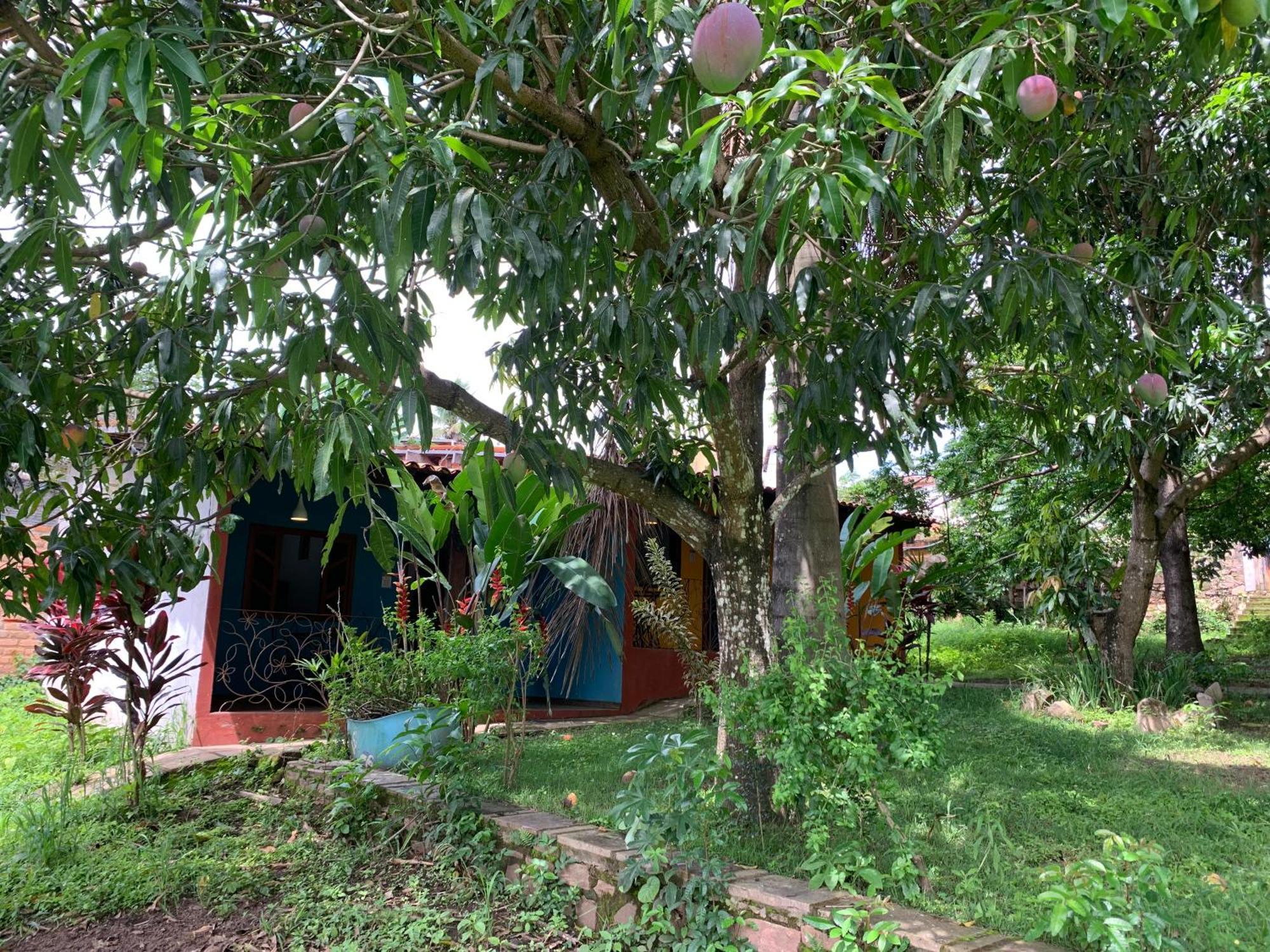 Pousada E Camping Lumiar 렝소이스 외부 사진